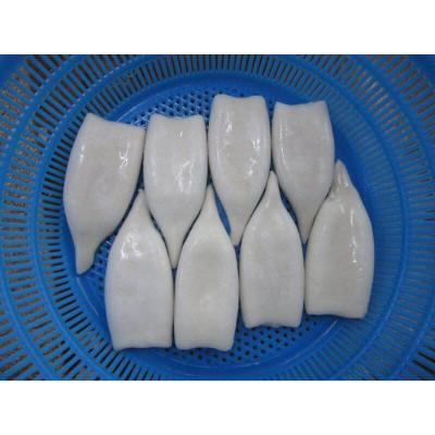 China Nutritious hot selling squid rings whole cut ring and jelly slice tentacle for sale