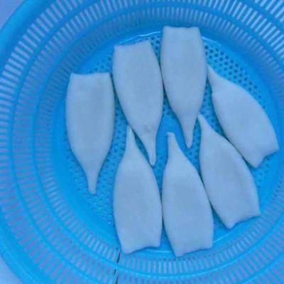 China Nutritious loligo tube best-selling high quality frozen squid for sale