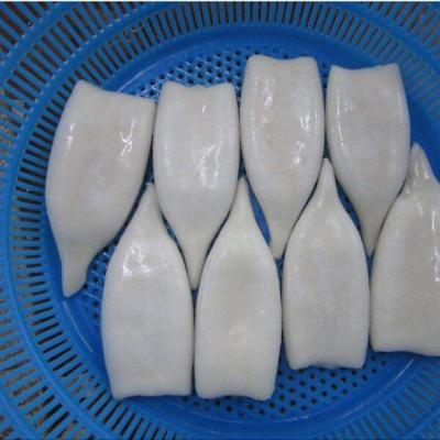 China Nutritious Hot Sale Frozen Whole Cleaned Squid Fillet for sale