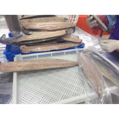 China Hot Selling FROZEN Pacific Mackerel Gutted Latest Fish Price Change for sale