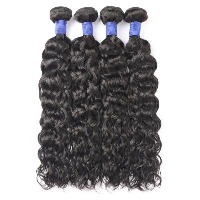 China Soft brazilian human Hair wig wholesaler 10A water wave Natural Black 100% Human Hair Bundles Remy Hair Extensions for sale