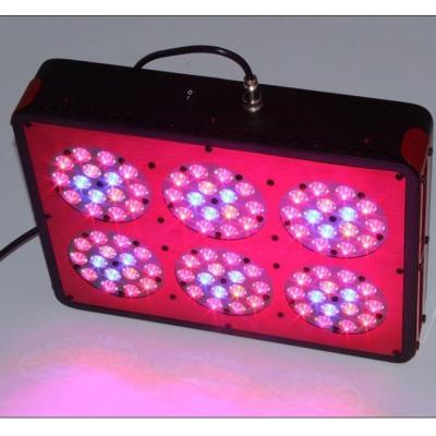 China Aeroponics System Apollo-10 LED Grow Light for Greenhouse,Phantom Dimmable LED Hydro Light for sale