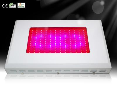 China 140*3W led grow lighting for sale