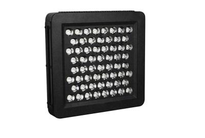 China Top LED grow lights for sale