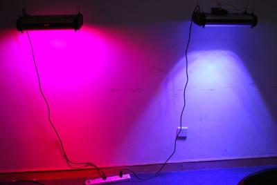 China Cidly 300w LED Light Source programmable led grow light for sale