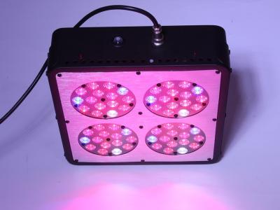 China 60*3w Apollo 4 led grow light Greenhouse Garden Plant Grow Lamp Panel Indoor budding bloss for sale