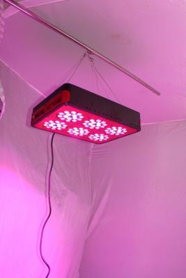 China Apollo 6 LED Grow Light AC100~240V AC100~240V Color Red/Blue for sale