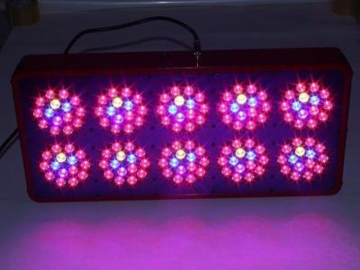 China CIDLY LED Revolutionary Modular High Power 370W LED Grow Light with full spectrum for sale