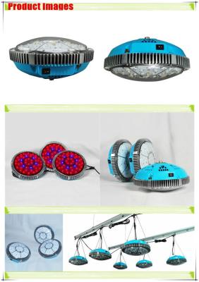 China horticulture led light full spectrum 150W ufo led grow light for tomato grow for sale