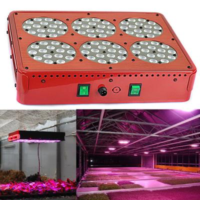 China 2018 new hydroponic systems led grow lights 210watt plants grow lights led lights Grow kit for sale