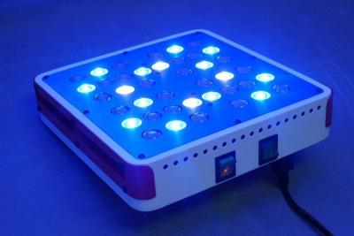 China New arrival Apollo 4 40*5w led grow light high efficiency 5watts chip module system heat for sale