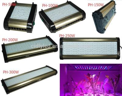 China China Manufacturers Of Grow Light,Cidly smart control LED grow light ,plant grow lights for sale