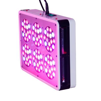 China Taiwan EPI LED indoor garden and lighting cidly led 6 270w led lights grow full spectrum for sale