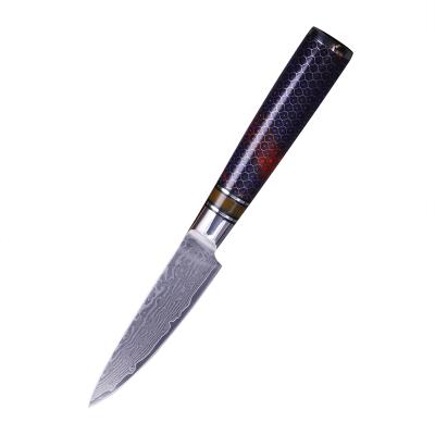 China Latest Sustainable High End VG-10 Damascus Steel 3.5 Inch Paring Knife Fruit Knife for sale