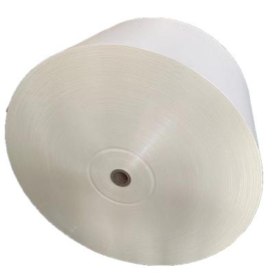 China High Quality Wholesale Biodegradable Cup Paper PE/PLA Coated Paper-in Roll for sale