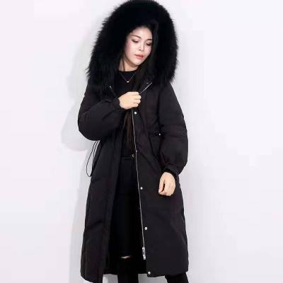 China Hot Sale 3 Colors Ladies Anti-Shrink Women Fashion Popular Winter Eco-firendly Warm Long Charming Down Jacket for sale