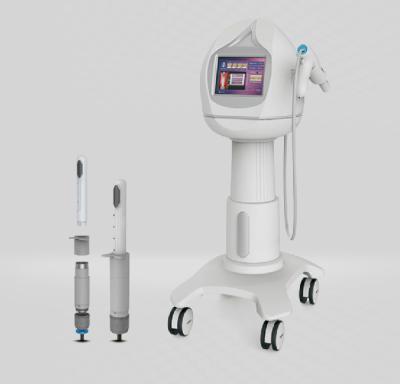 China 2018 Top Selling High Intensity Focused Ultrasound vaginal tightening Hifu for sale