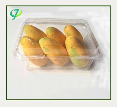 China materials reused cheap cake box/cheap clear plastic cake box/good quantity cup cake box for sale