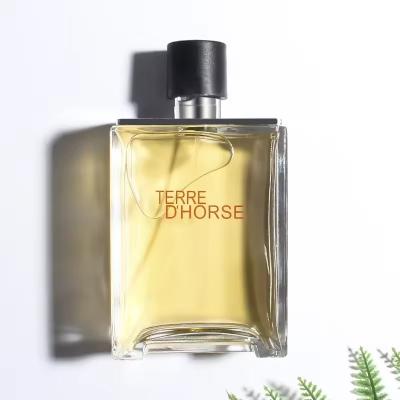 China TERRE men's fragrance 100ml long lasting fragrance woody scent neutral cologne spray English version OEM for sale