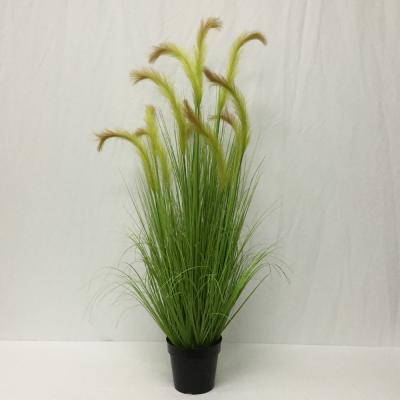 China Hot Selling Artificial Indoor Decoration Tubular Grass Pampas Reed For Wedding Decoration Flowers for sale