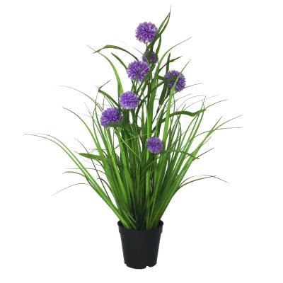 China Artificial Potted Black Reed Grass For Wedding Decor Environmental Friendly Decorative Simulation Chrysanthemum Basin for sale