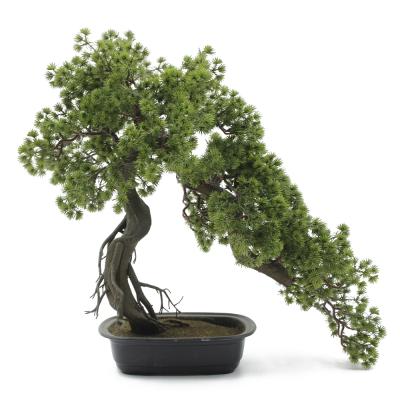 China Contemporary Direct Artificial Plant Bonsai Tree Macrophyllus Podocarpus Decoration Outdoor Landscaping for sale