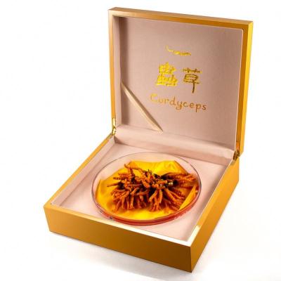 China High Quality Wooden Pill Pack Tablet Container 28*26*9cm 300pcs Luxury Pill Packing Box Cordyceps Medicine Pill Packet Container Storage Box Pill Box for sale