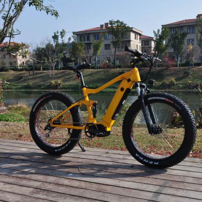 China 2021 New Style Aluminum Alloy Fat Tire 1000w Electric Bike Customized Motor Mid Drive Mountain Electric Bikes for sale