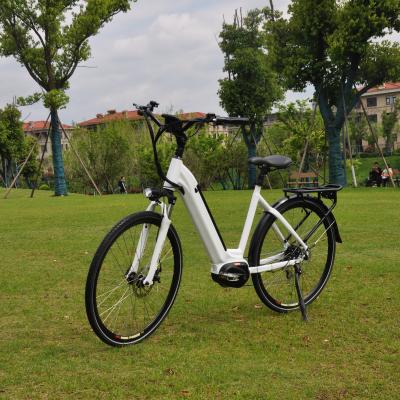 China High Power Aluminum Alloy 750 1000W Long Range Motor 750 1000W Cruiser City Beach Electric Bike 48V 500 for sale