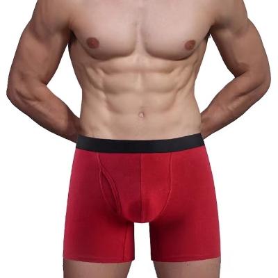 China Wholesale Custom Antibacterial Sports Men Sex Underwear Boxer Briefs Plus Size Men's Sexy Underwear for sale