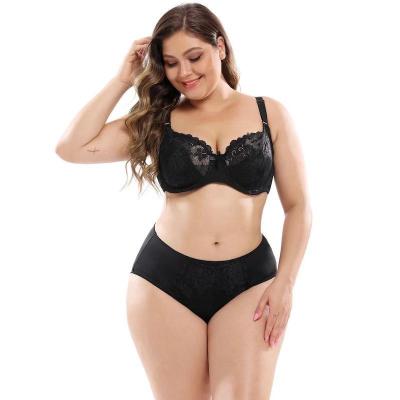 China QUICK DRY in stock women's sexy panties women's underwear plus size bra and brief lingerie sets-Femm lingeries for sale