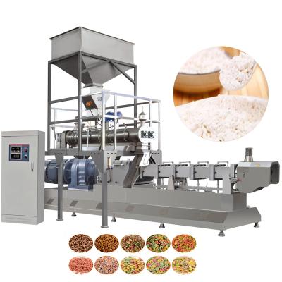 China 2021 Snacks Snacks Twin Screw Extruder For Potato Modified Starch Food Snacks Machine Chinese for sale