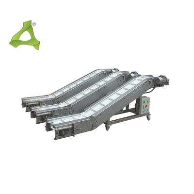 China Factory Stainless Steel Belt Conveyor For Food Processing for sale