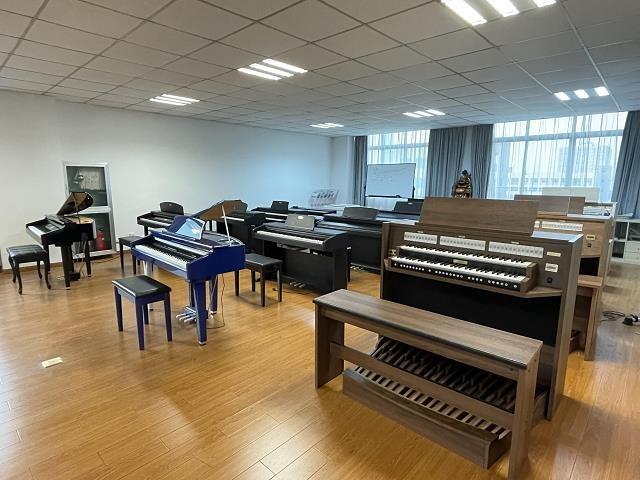 Verified China supplier - Shanghai Huaxin Musical Instrument Co., Ltd.