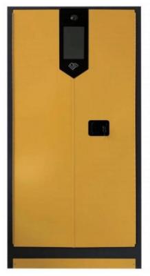 Chine Cabinet de sécurité intelligent à deux portes FW-WY810883 pour produits chimiques dangereux avec une cavité de décharge de sable jaune d'une épaisseur de 120 mm à vendre