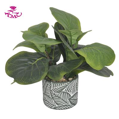 China Realistic Hot Sale Indoor Table Decoration Artificial Fiddle Leaf Fig Plant With Pot Greenery Bonsai Trees for sale