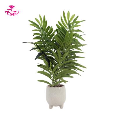 China Minimalist High Quality Artificial Palm Kwai Silk Leaf in Ceramic Pot for Home Decor for sale