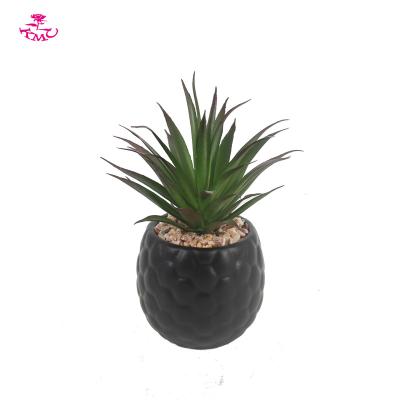 China Minimalist Wholesale Desktop Decoration Artificial Succulent Plant in Ceramic Pot for Home Decor for sale