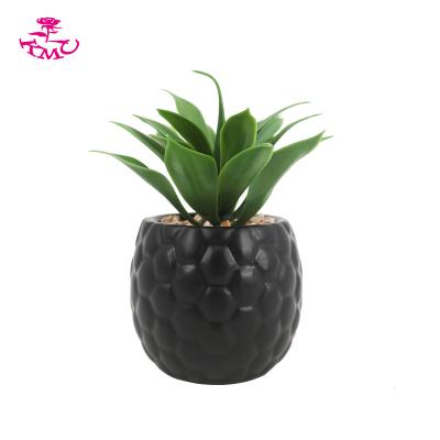 China Hot Selling Minimalist Indoor Office Decoration Artificial Succulent In Ceramic Pot for sale