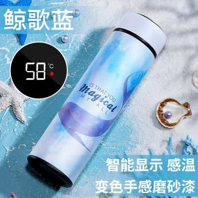 China Beautiful Sustainable Customized Stainless Steel Water Bottle With Led Colored Temperature Display Bottle Body for sale