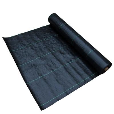 China China Manufacture UV Black Moisture Proof PP Woven Fabric For Agricultural Weeding for sale