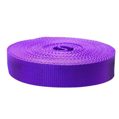 China pp elastic webbing for packing for sale