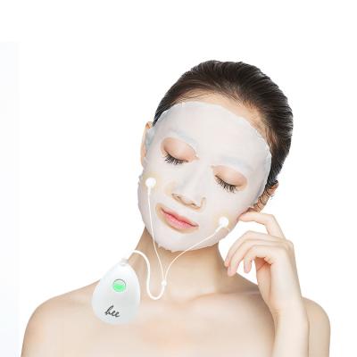 China Skin Tightening 2021 Portable EMS Microcurrent Promote Absorption Facial Nutrition Important Beauty Instrument for sale