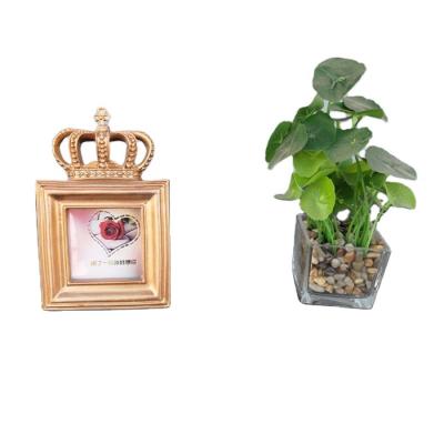 China Classical European Square Shape Photo Frame 3 Inch Gold Crown Resin Picture Frame for sale