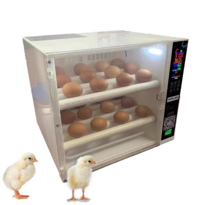 China farms chicken egg incubator for sale hatching ducks eggs for sale