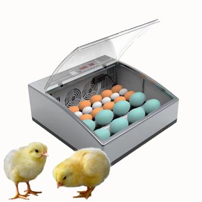 China New Farms Type 16 36 Egg Incubator Small Poultry Machine Small Farm Hatching Machine for sale