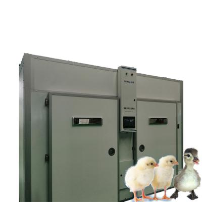 China Automatic Incubator And Hatcher 15120 Egg Hatcher Combo Chicken Egg Machine RGCXT-15120 for sale