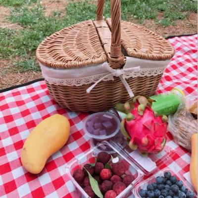 China Sustainable Portable Outdoor Wicker Picnic Storage Basket With Cover for sale