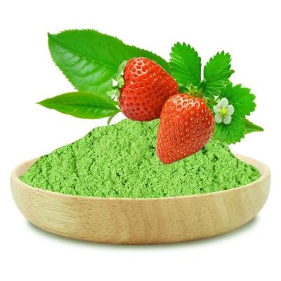 China Tea Drinks Rich Color Sweet  Aroma Strawberry Flavor  Green Matcha Tea for sale