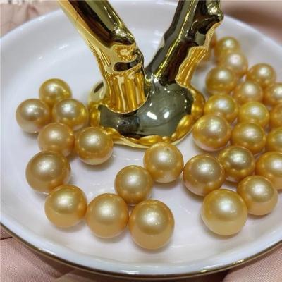 China Wholesale Shell Bead Jewelry Making 10-12 Mm Scattered Beads DIY Jewelry Manual Beading Material Gold Shell Bead for sale